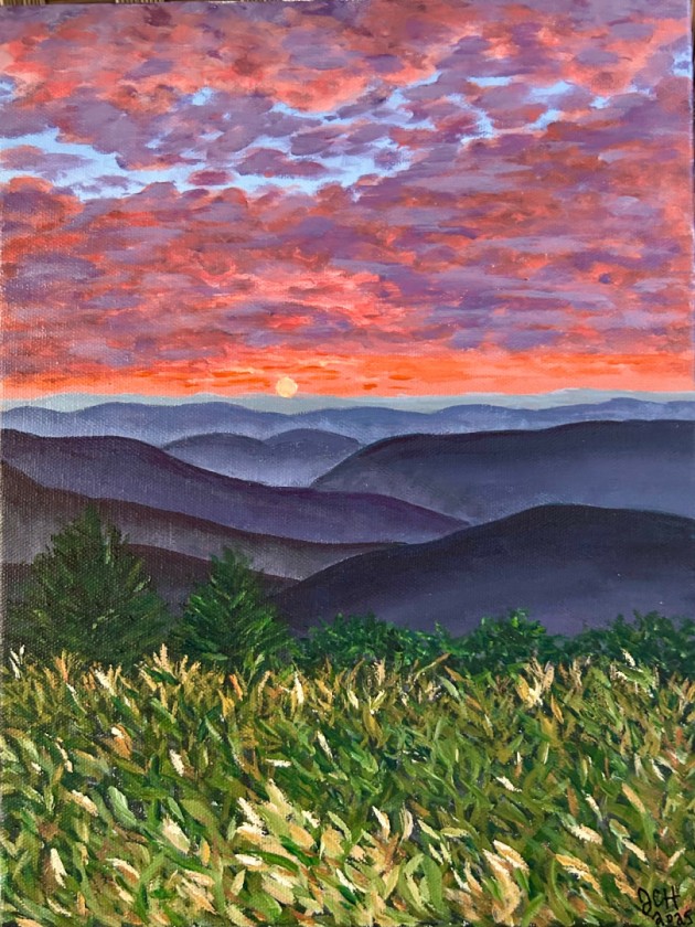 Appalachian Trail TN/NC 