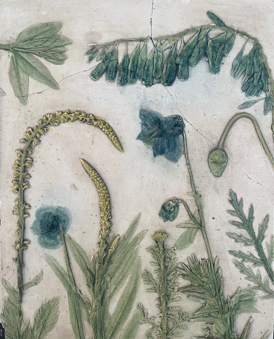 The dye garden - artwork by Naomi Griffiths:  Botanical, Classical, Plaster, Other