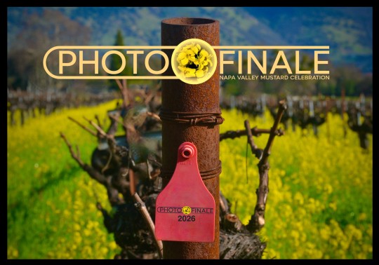 https://photo-finale2026-napavalleymustardcelebration.artcall.org