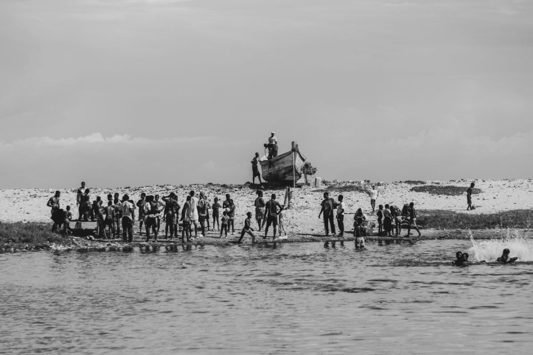 Meet and Greet at the Shore - Photograph