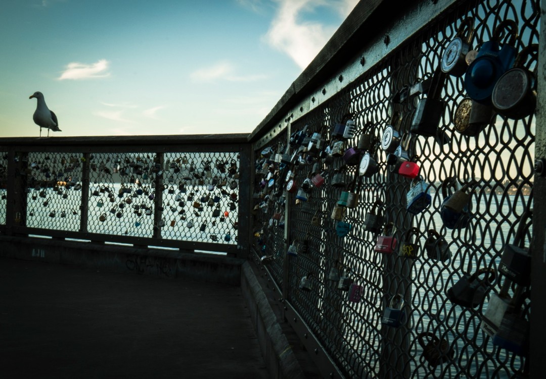 Untitled - Photograph