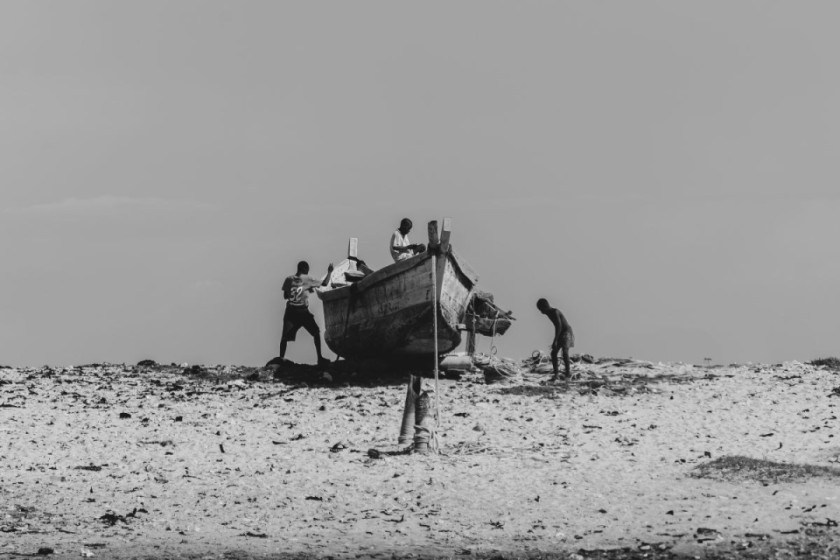 Stranded Joy