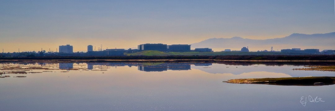 Alviso Morning - Photograph
