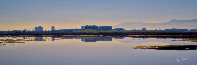 Alviso Morning