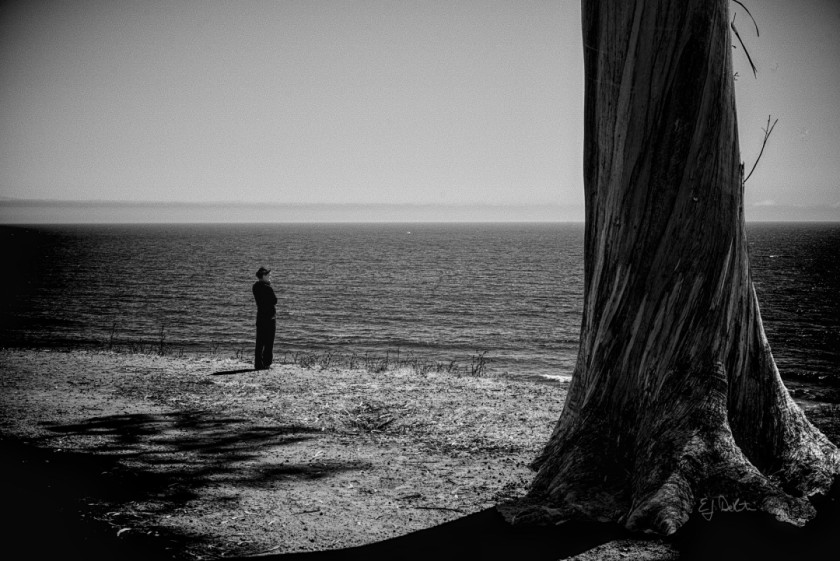 Contemplations (Katherine)