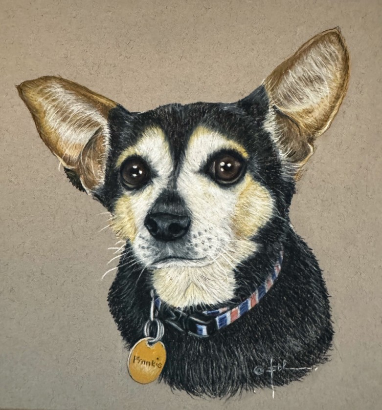 Frankie