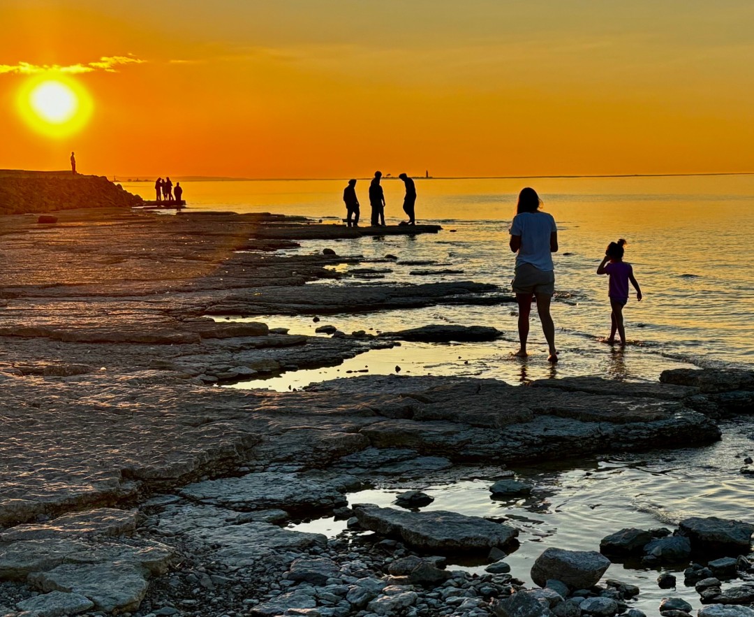 Summer Sunset - artwork by Tom Chapeskie:  