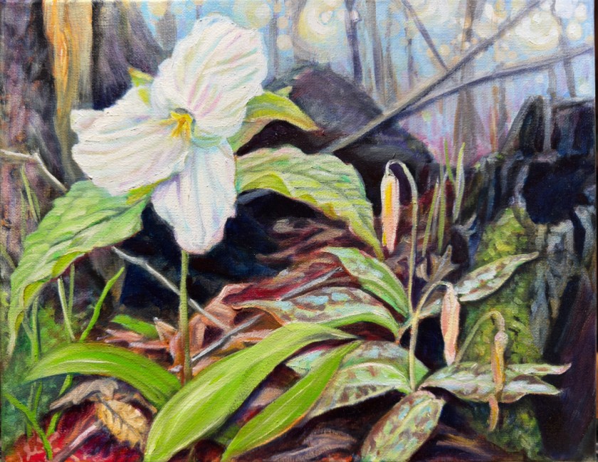 Spring Ephemerals