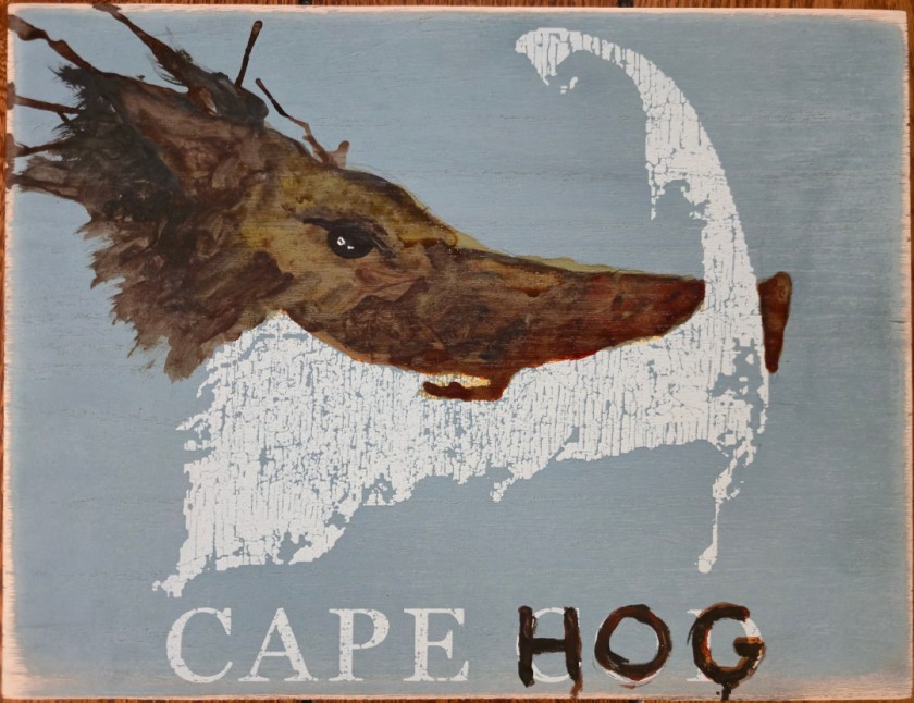 Cape Hog