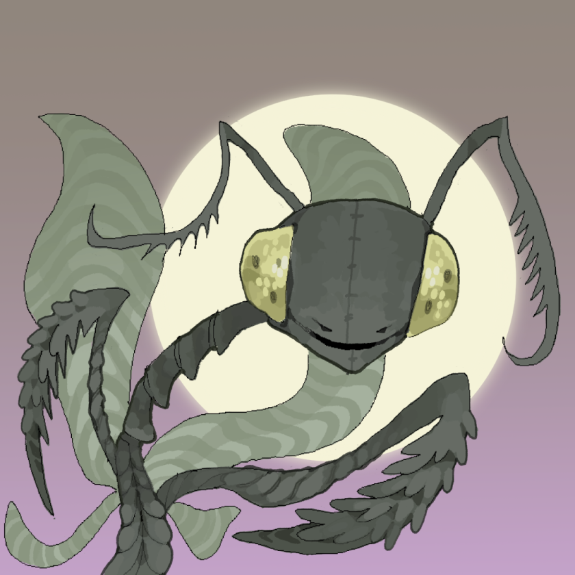 Bug