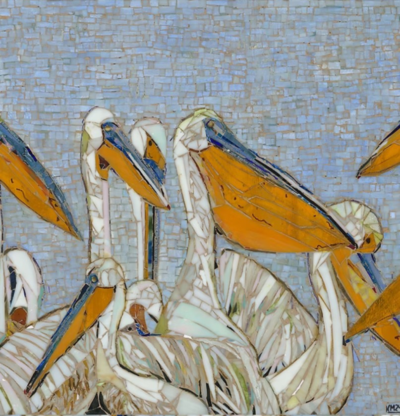 Gossip Pelicans 