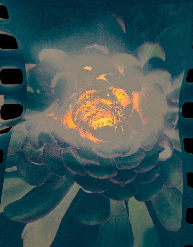 Solara