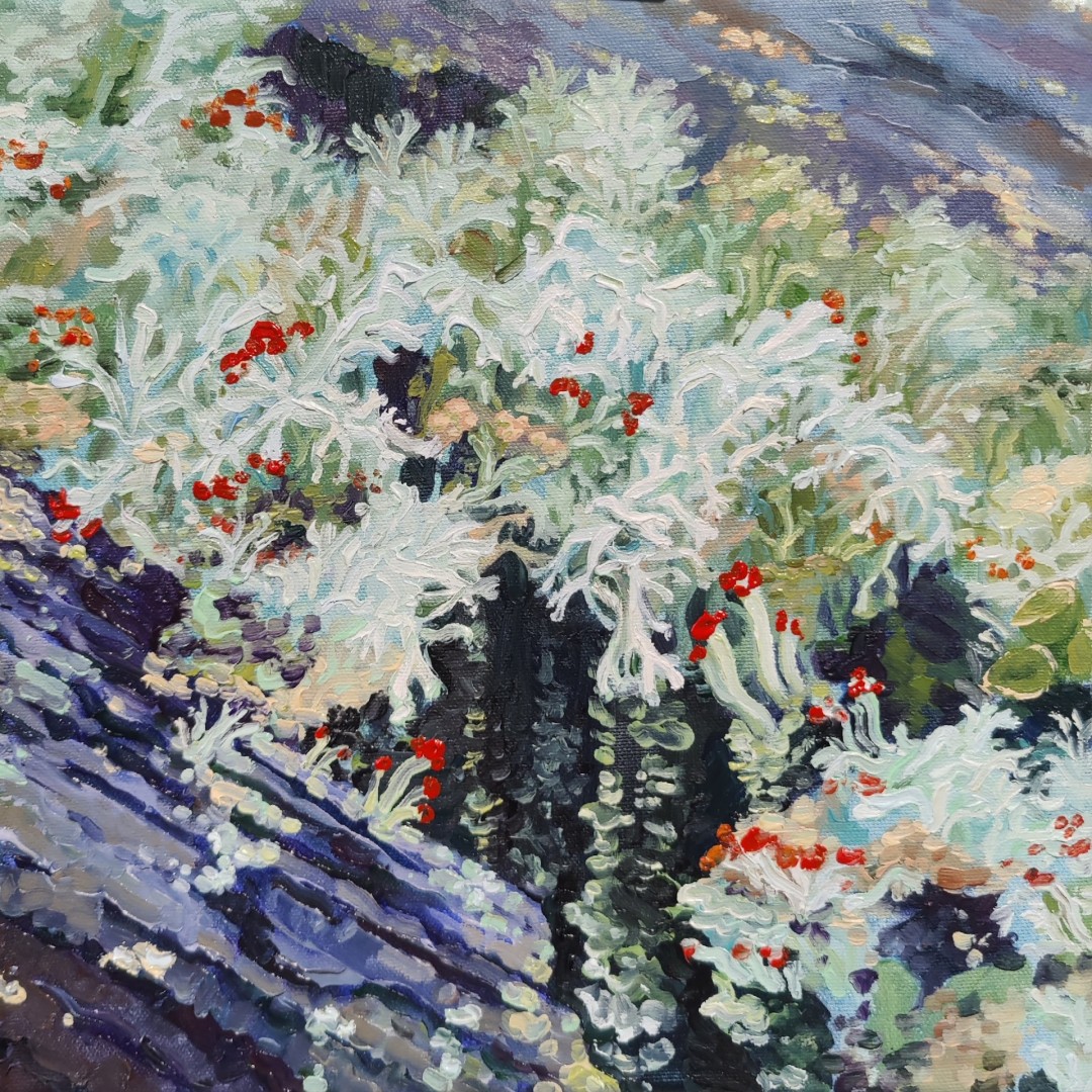 Cladonia Lichen  - artwork by Svetlana Ignatov:  