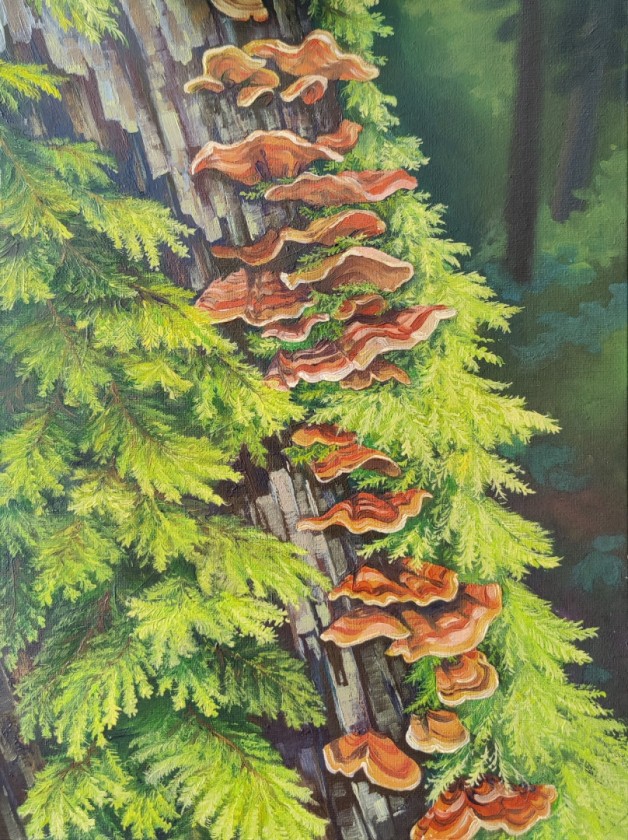 Turkey Tails in the Moss