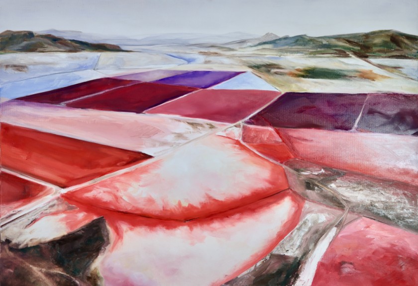 field series Atacama