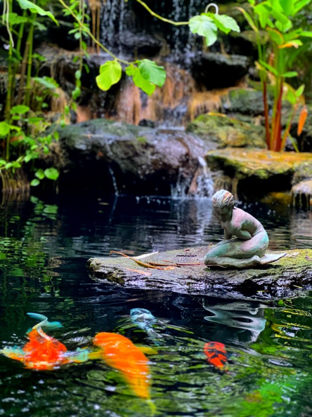 Water Gazer