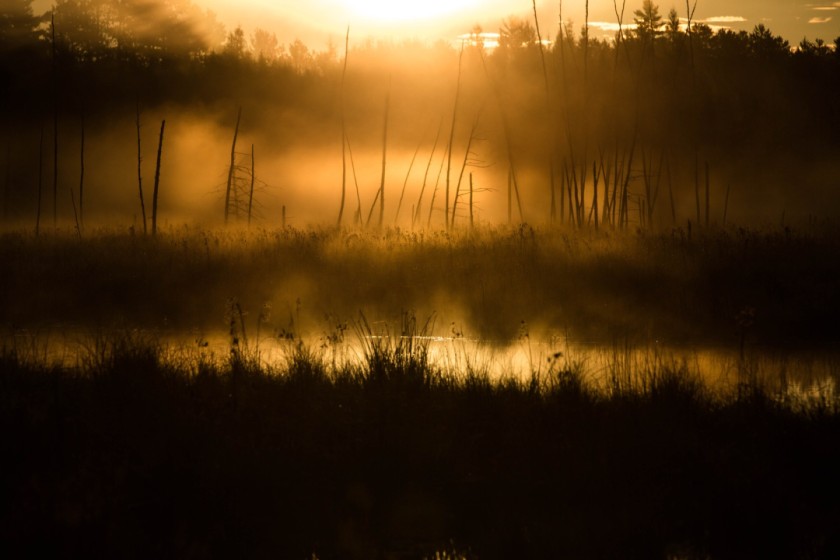Golden Hour Pond