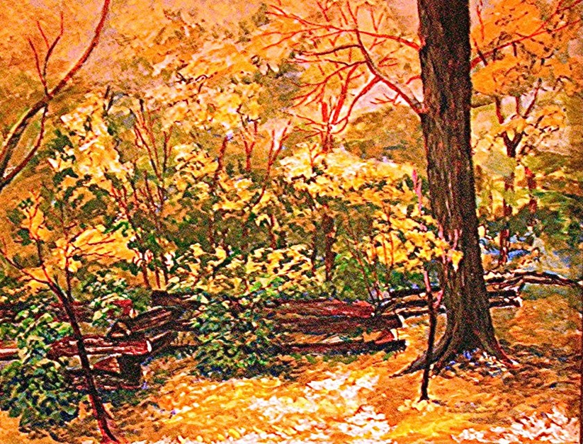 A Walk in Whitnall Park