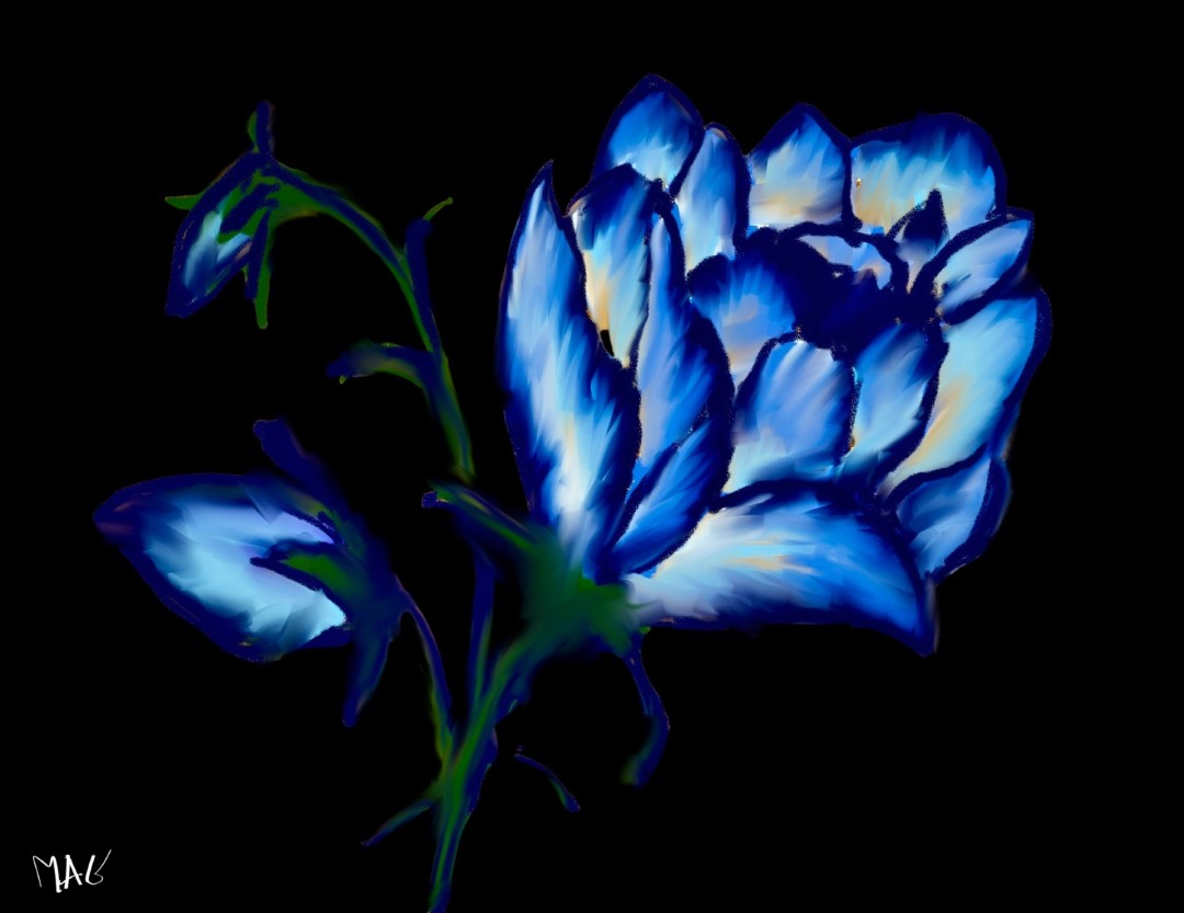 Velveteen  - Digital