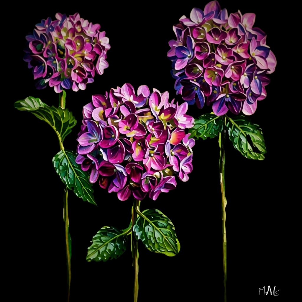 Hydrangeas  - Digital