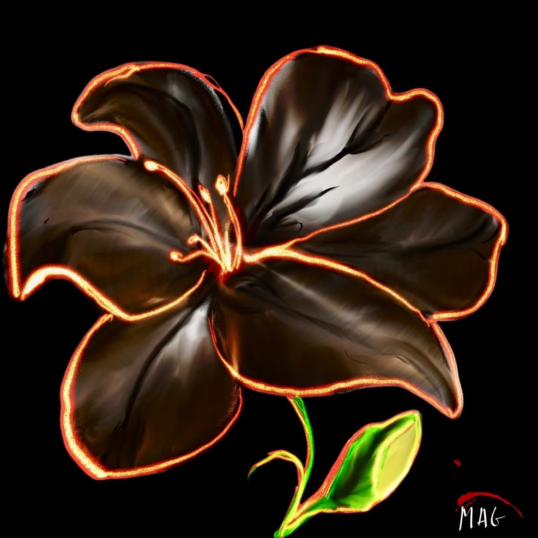 The Black Lily - Digital