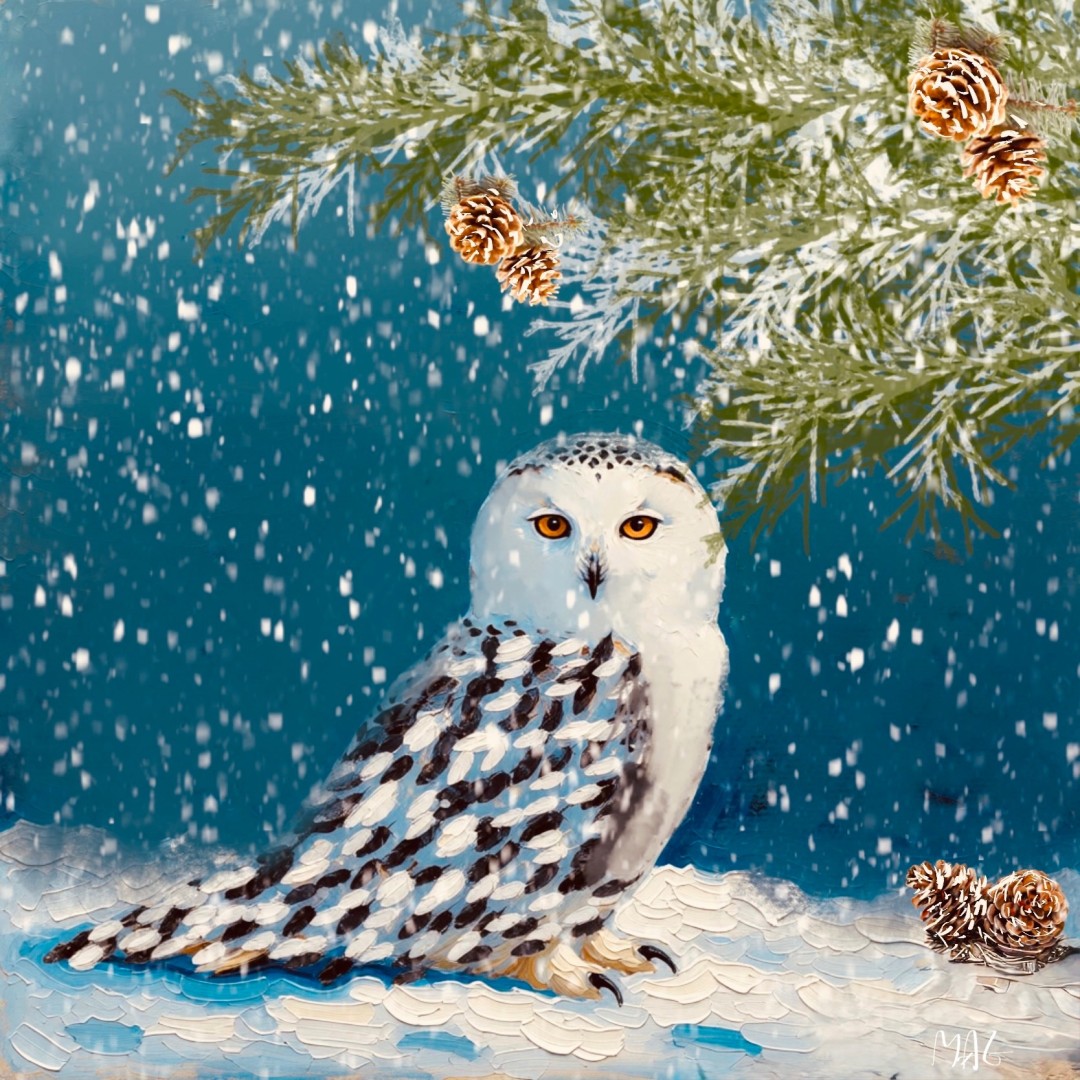 Snow Owl  - Digital