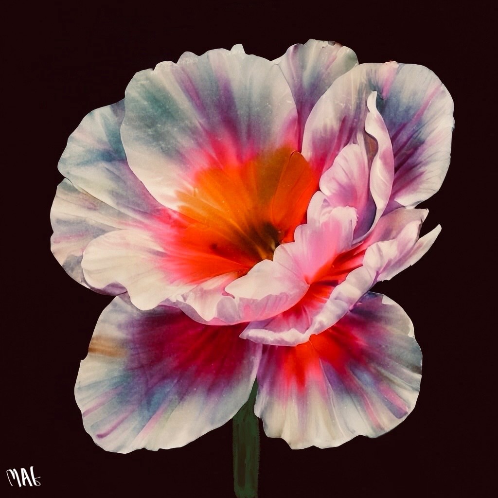 Fire and Ice - Digital