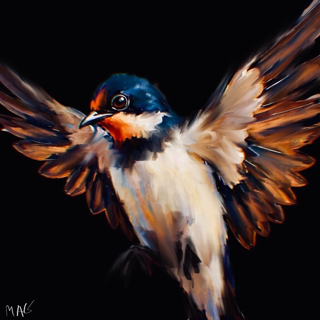 Take Off - Digital