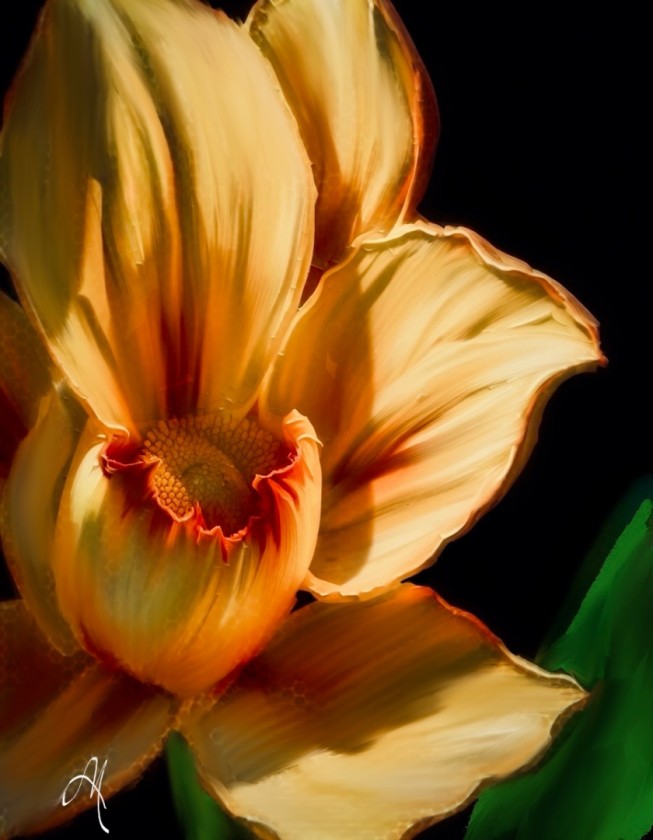 Twilight Bloom