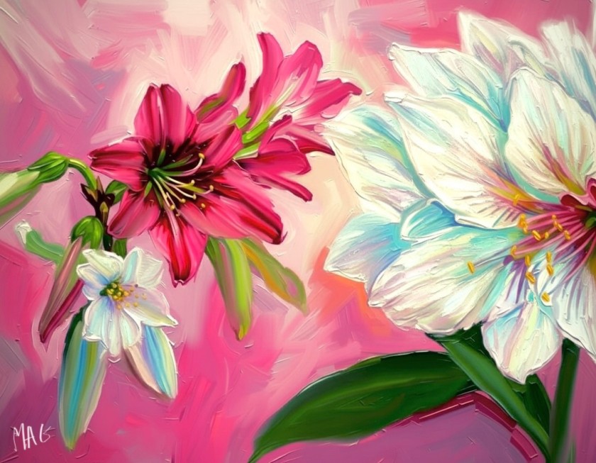 Pink and White Lillies 