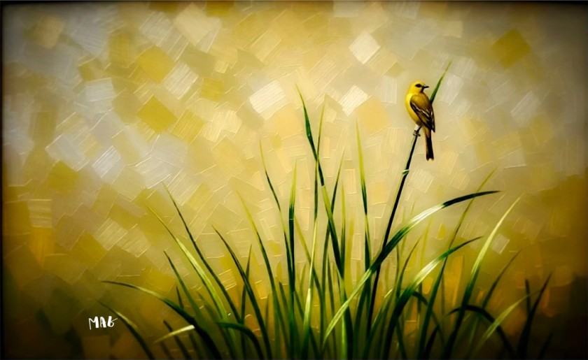 Harvest of Light