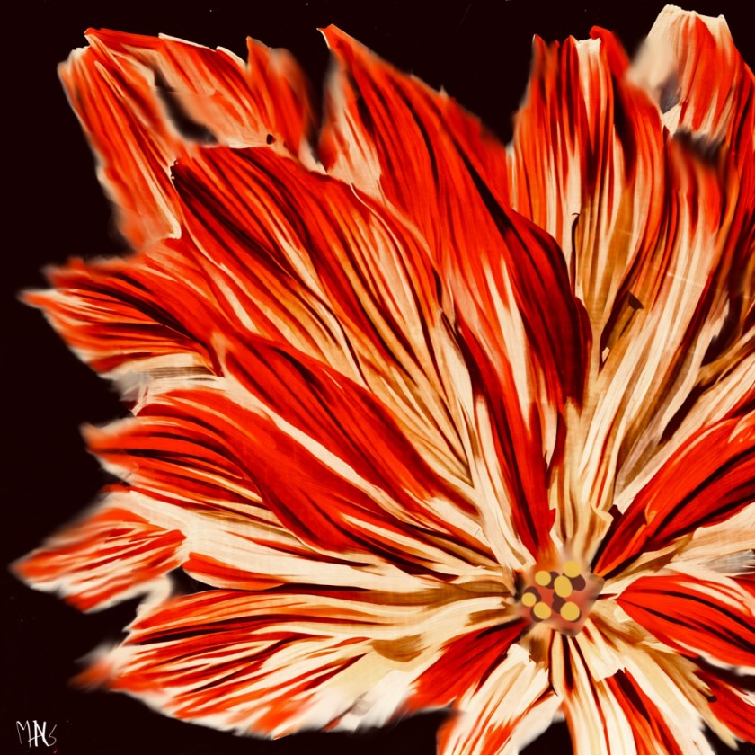 Fire Flower