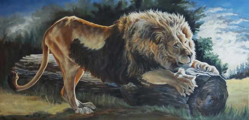 Chief -Rescued by Turpentine Creek Wildlife Refuge