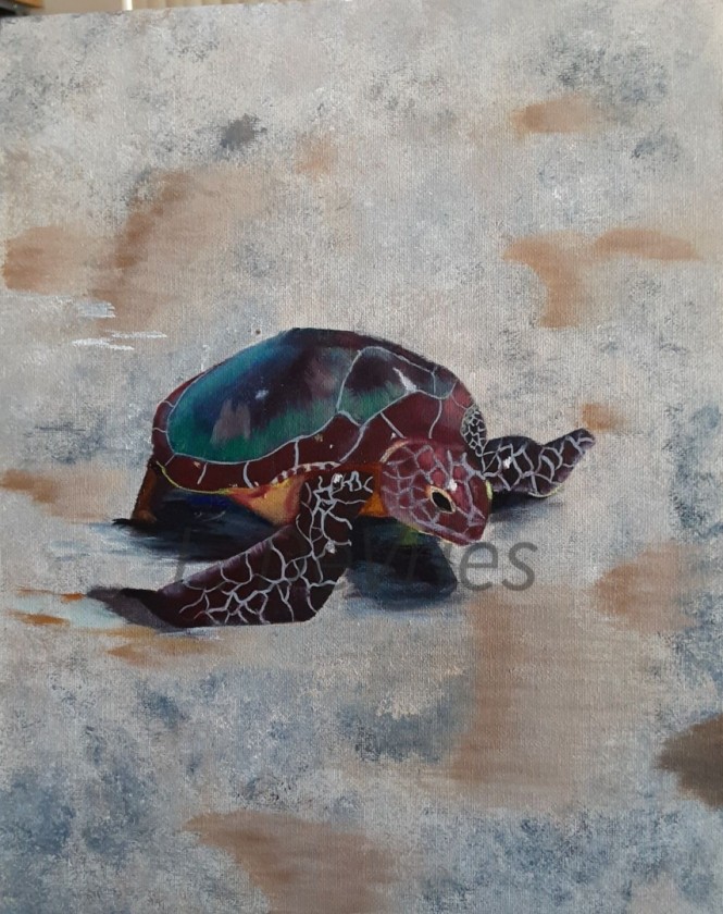 Turtle