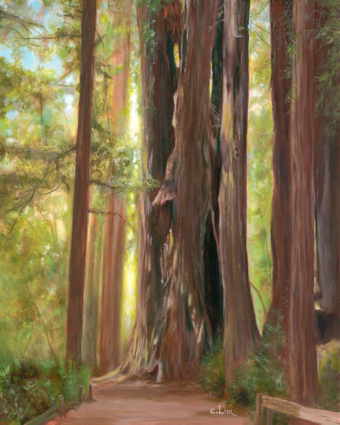 A day at Henry Cowell No,2