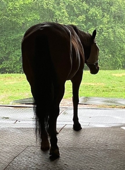 Rain Rain Go Away