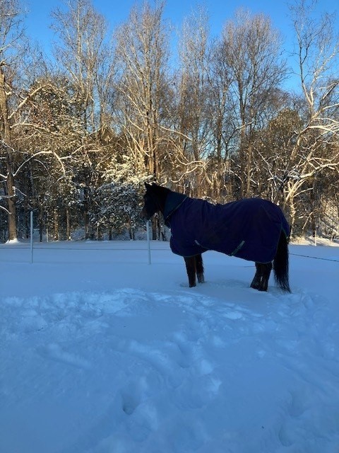 Snowmageddon 2026