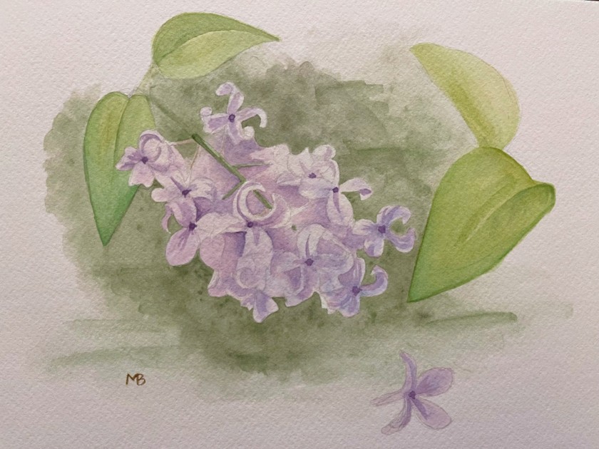 Lilacs
