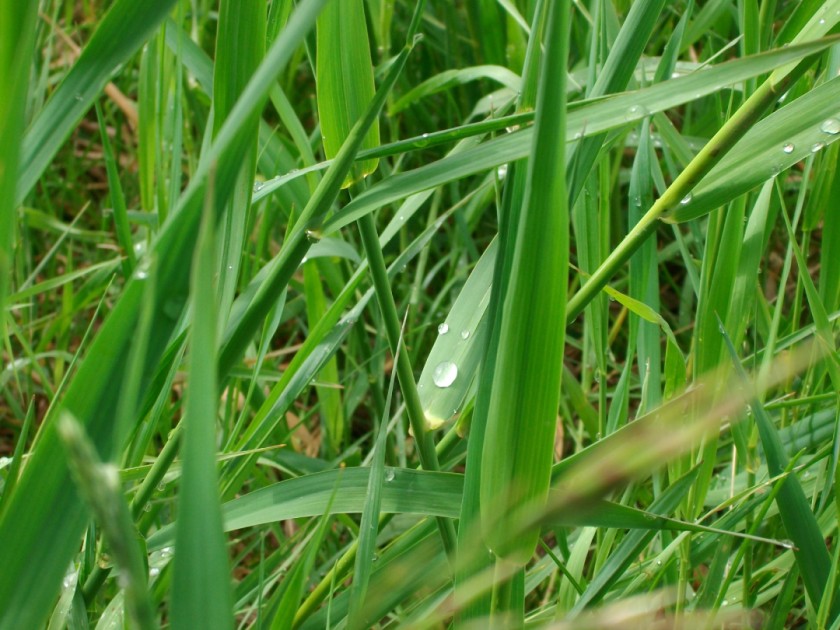 One Drop Makes A Huge Difference (2014)