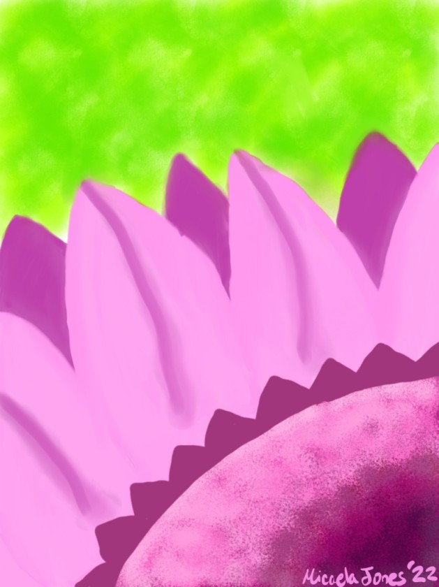 The Marks of Fuchsia - 2022