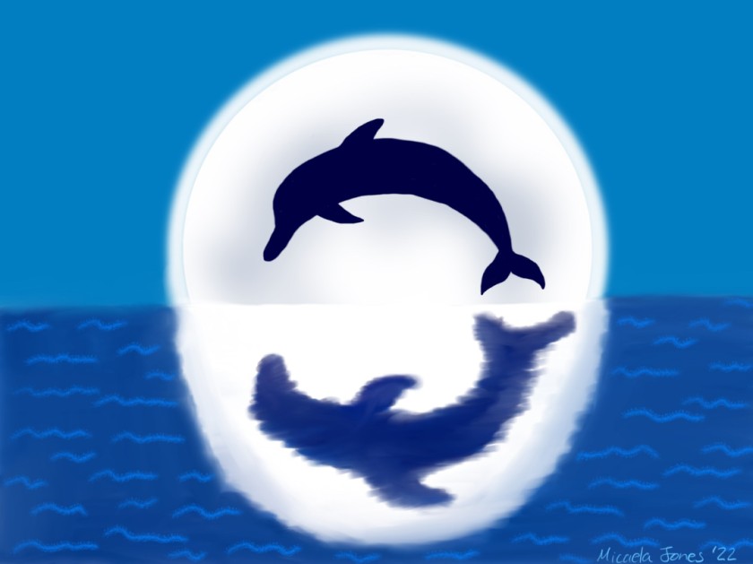 Night of the Dolphin - 2022