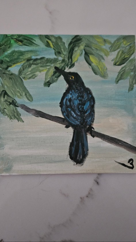 Sanate bird from Nicaragua