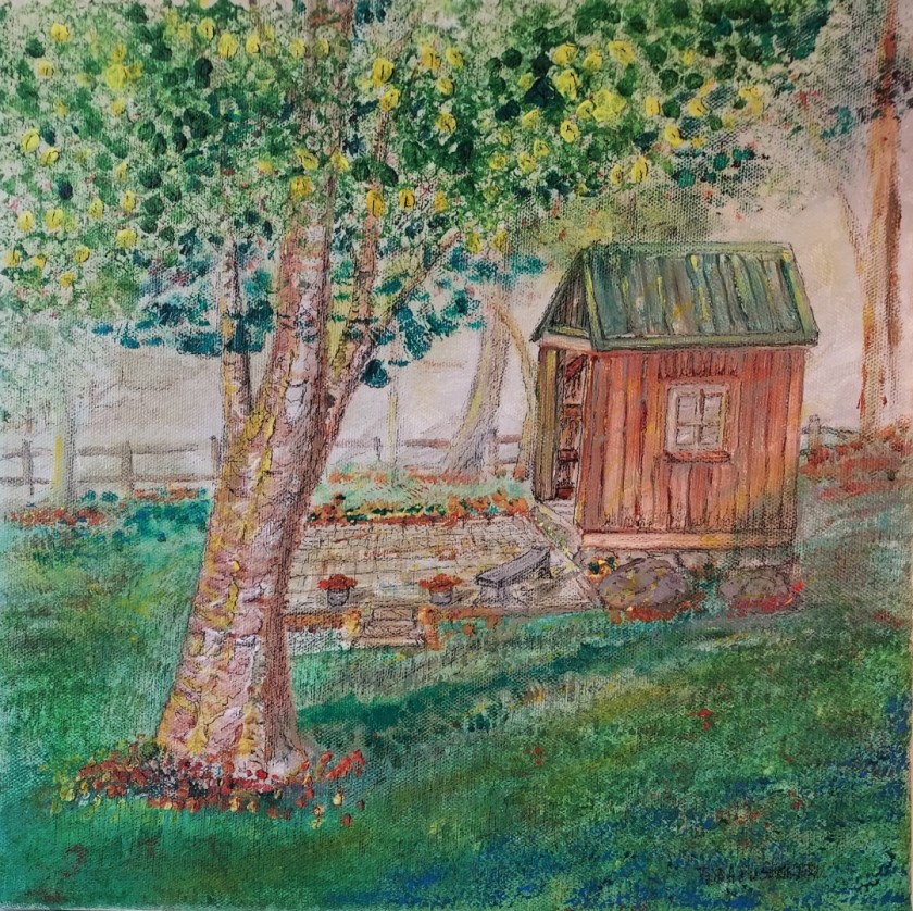 From the Kitchen Window 