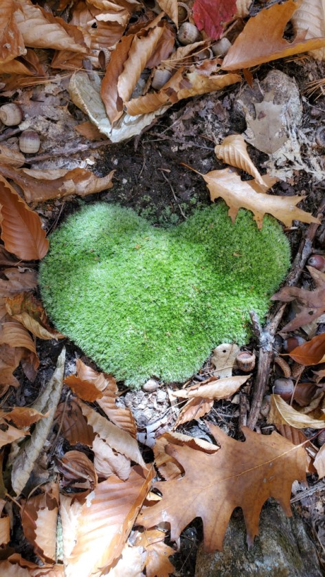 Mossy Heart