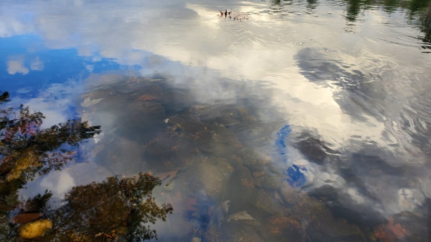Water Spirits