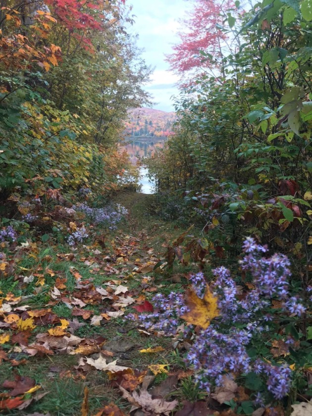 Autumn Tunnel