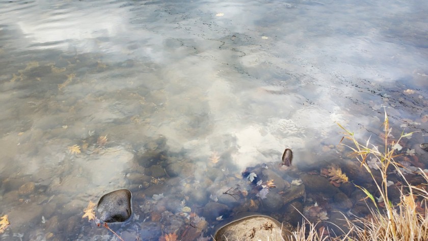 Clouded Reflection