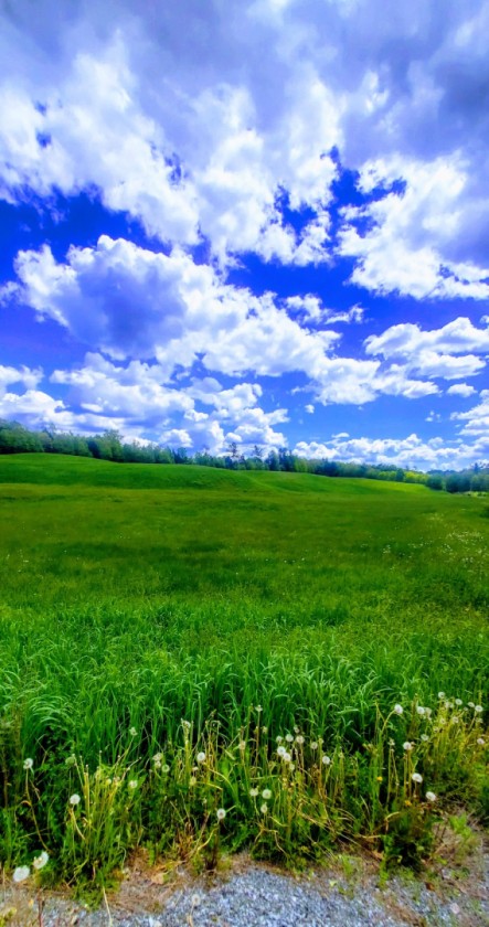 Field of Memories