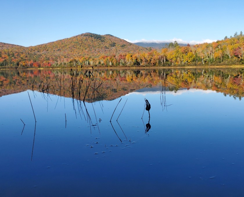 Autumn Morning Stillness 