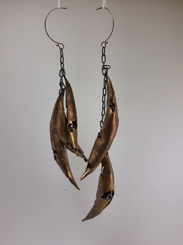 Why am I the pest? (Cerotoma trifurcata – Bean Beetle)